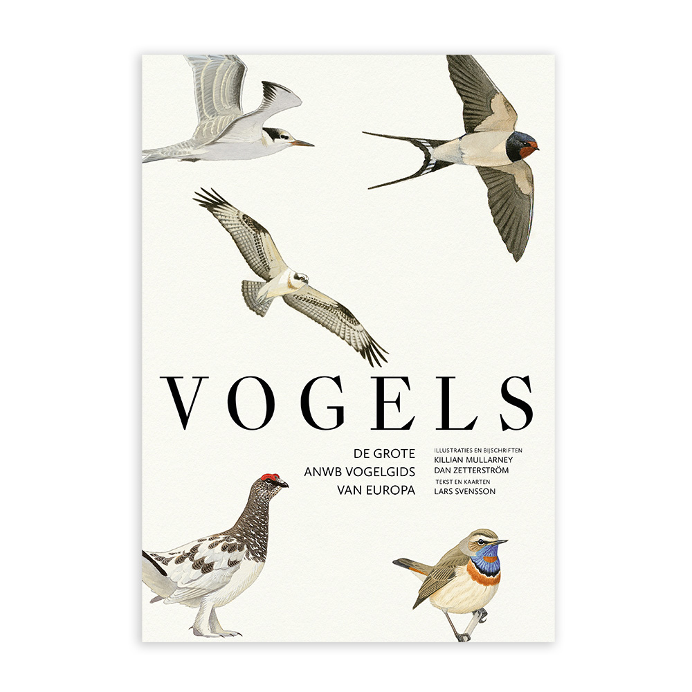 Vogels - de grote ANWB vogelgids van Europa