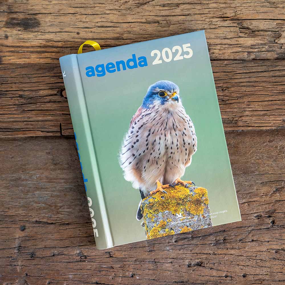 Vogelbescherming agenda 2025