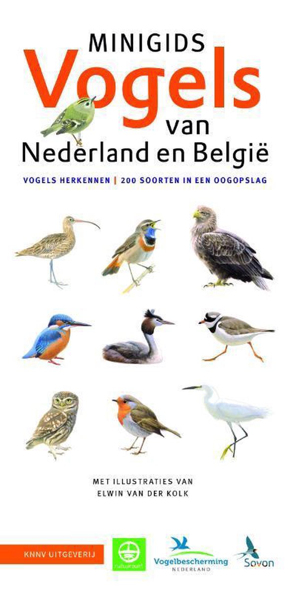 Minigids Vogels van Nederland en Belgi?